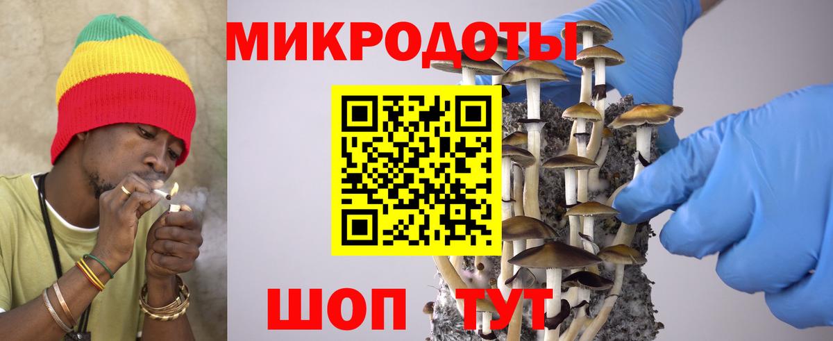Черемхово  Псилоцибиновые грибы прущие грибы  Галлюциногенные грибы Psilocybe  Вход с VPN 